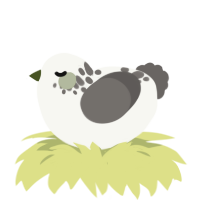 A white and grey chicken with a neck-speckle pattern