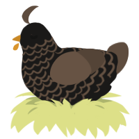 A sable and bark chicken with a lace pattern