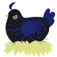 A sable and navy chicken with a speckle pattern