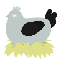 A silver and sable chicken
