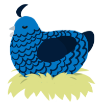 A sapphire and tumblr chicken with a lace pattern