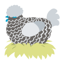 A grey and mist chicken with a lace pattern