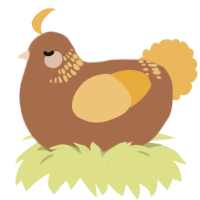 A brown and honey chicken with a neck-band pattern