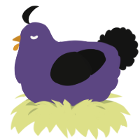 A overcast and black chicken