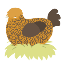 A orange and bark chicken with a double-lace pattern