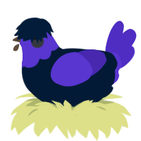 Morrigan, a tumblr and indigo chicken with a head pattern