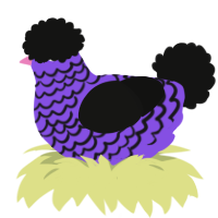 A blurple and black chicken with a lace pattern