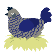 A ash and navy chicken with a lace pattern