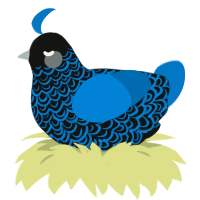 A black and sapphire chicken with a double-lace pattern