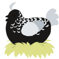 A sable and mist chicken with a half-lace pattern