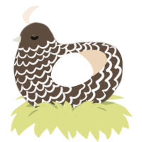 (unnamed), a bark and cream chicken with a lace pattern