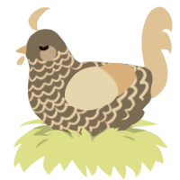 A grey and beige chicken with a lace pattern