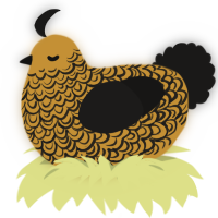 A gold and sable chicken with a double-lace pattern