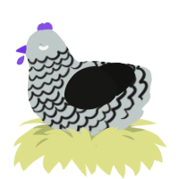 A silver and black chicken with a lace pattern