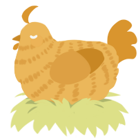 A honey and orange chicken with a bar pattern