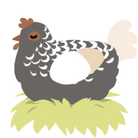 A grey and cream chicken with a half-lace pattern