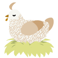 Army Dreamers, a white and beige chicken with a double-lace pattern