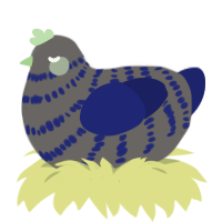 A grey and navy chicken with a bar pattern