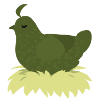 A olive chicken with a speckle pattern