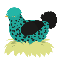 A turquoise and sable chicken with a speckle pattern