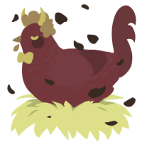 A maroon and wine chicken with a half-lace pattern