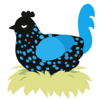 A black and sky chicken with a speckle pattern