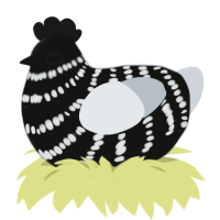 A black and mist chicken with a bar pattern