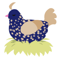 A navy and beige chicken with a speckle pattern