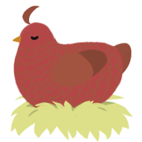 (unnamed), a red and russet chicken with a lace pattern