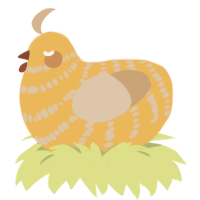 A honey and beige chicken with a bar pattern