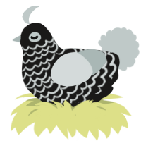 A sable and silver chicken with a lace pattern