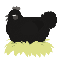 A sable chicken with a double-lace pattern
