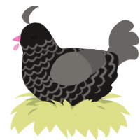 A sable and grey chicken with a lace pattern