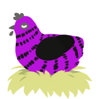 Tak, a amethyst and black chicken with a bar pattern