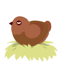 Boney, a russet and red chicken with a head pattern