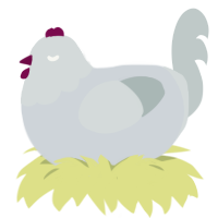 A mist and silver chicken with a head pattern
