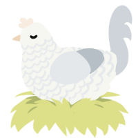A white and mist chicken with a lace pattern