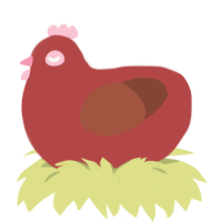 ruby, a red and russet chicken