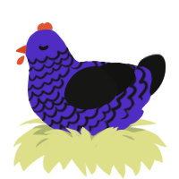 A indigo and black chicken with a lace pattern