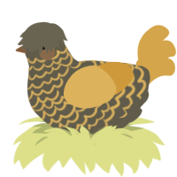 A grey and honey chicken with a lace pattern