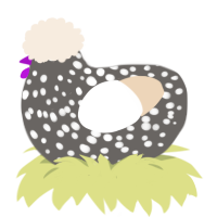 Speckly Egg, a grey and cream chicken with a speckle pattern