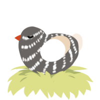 Lil goose, a grey and cream chicken with a bar pattern