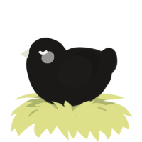 A sable chicken