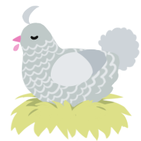A silver and mist chicken with a lace pattern