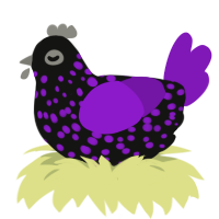 Birthday Massacre, a black and violet chicken with a speckle pattern