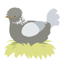 A ash and mist chicken with a neck-speckle pattern