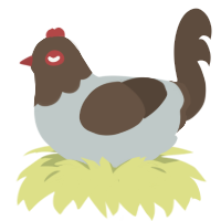 A silver and bark chicken with a head pattern