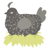 A grey and ash chicken with a speckle pattern