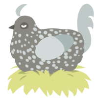 (unnamed), a ash and silver chicken with a speckle pattern