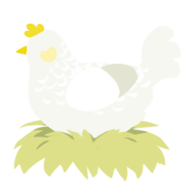 A white chicken with a half-lace pattern